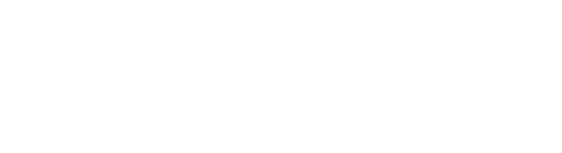 Tata Consulting Services